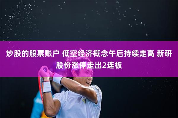 炒股的股票账户 低空经济概念午后持续走高 新研股份涨停走出2连板