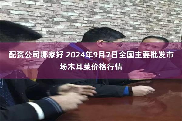 配资公司哪家好 2024年9月7日全国主要批发市场木耳菜价格行情