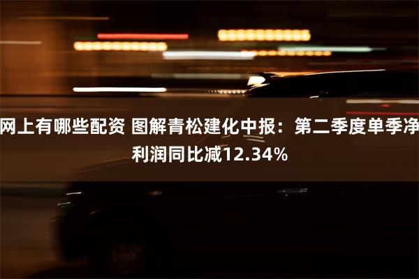 网上有哪些配资 图解青松建化中报：第二季度单季净利润同比减12.34%