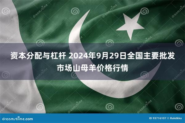 资本分配与杠杆 2024年9月29日全国主要批发市场山母羊价格行情