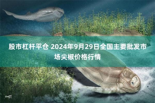 股市杠杆平仓 2024年9月29日全国主要批发市场尖椒价格行情