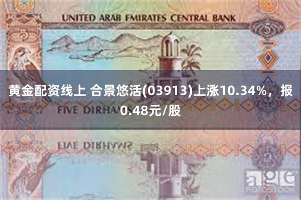 黄金配资线上 合景悠活(03913)上涨10.34%，报0.48元/股