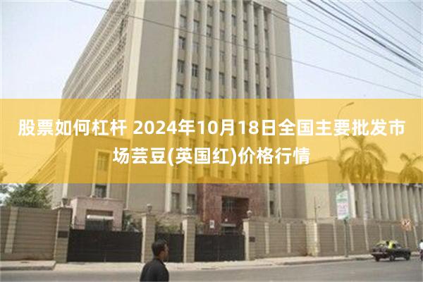 股票如何杠杆 2024年10月18日全国主要批发市场芸豆(英国红)价格行情