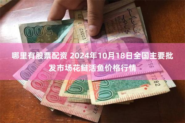 哪里有股票配资 2024年10月18日全国主要批发市场花鲢活鱼价格行情