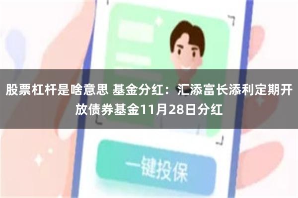 股票杠杆是啥意思 基金分红：汇添富长添利定期开放债券基金11月28日分红