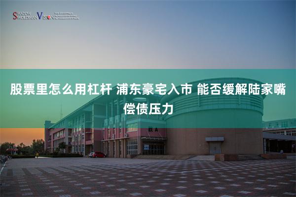 股票里怎么用杠杆 浦东豪宅入市 能否缓解陆家嘴偿债压力