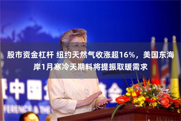 股市资金杠杆 纽约天然气收涨超16%，美国东海岸1月寒冷天期料将提振取暖需求