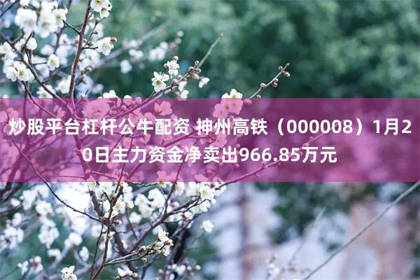 炒股平台杠杆公牛配资 神州高铁（000008）1月20日主力资金净卖出966.85万元