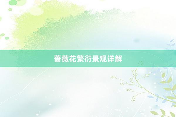 蔷薇花繁衍景观详解