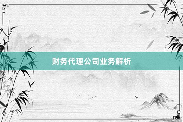 财务代理公司业务解析